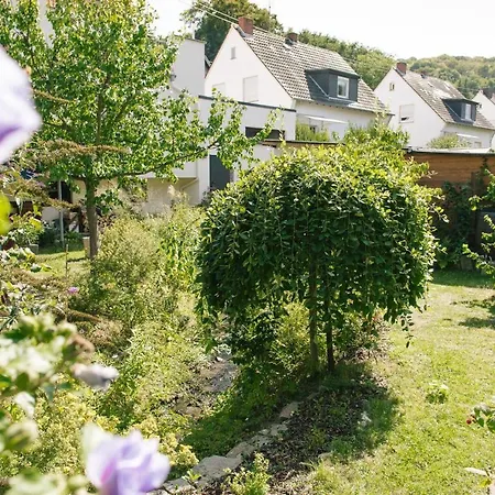 Am Breyer Talbach Brey