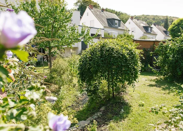 Am Breyer Talbach Brey